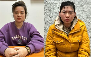 Vô ý làm cháu bé 2 tuổi tử vong, một bảo mẫu ở Hải Phòng bị khởi tố - Ảnh 3.