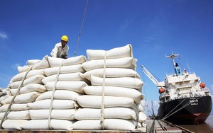 Chiến lược xuất khẩu gạo của Việt Nam đến 2030: Nâng giá trị, giảm khối lượng