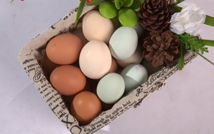 Chuyển đổi chăn nu&ocirc;i bền vững trong hệ thống lương thực thực phẩm ở ch&acirc;u &Aacute; - Th&aacute;i B&igrave;nh Dương - Ảnh 8.