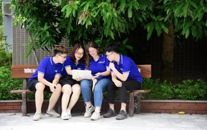 Đại học lần đầu ti&ecirc;n &aacute;p dụng x&eacute;t tuyển dựa tr&ecirc;n chứng chỉ quốc tế kết hợp phỏng vấn - Ảnh 5.