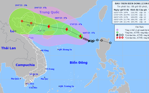 Tâm bão số 1 có thể mạnh cấp 12, giật cấp 15, biển động rất mạnh