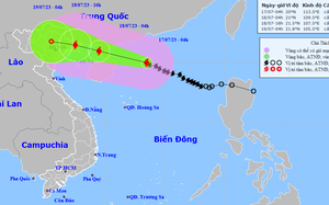 Lào Cai dừng các cuộc họp để tập trung phòng, chống bão số 3 - Ảnh 7.