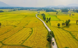 Năm 2023, xuất khẩu gạo Việt có thể đạt con số kỷ lục
