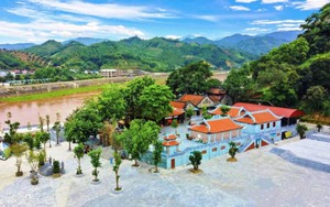 &ldquo;V&agrave;ng xanh&rdquo; tr&ecirc;n n&uacute;i đ&aacute; Cốc Ly  - Ảnh 9.