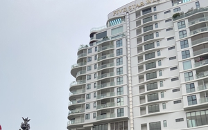 80% sàn giao dịch bất động sản đã trở lại hoạt động - Ảnh 2.