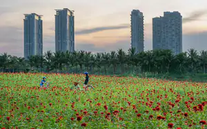 Sau 2 tiếng x&aacute;c minh trong đ&ecirc;m, c&ocirc;ng an Bắc H&agrave; đưa ch&aacute;u b&eacute; đi lạc hơn 60 km trở về gia đ&igrave;nh an to&agrave;n - Ảnh 4.
