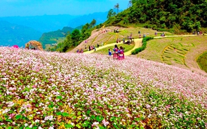 Bung biêng tam giác mạch nơi thượng nguồn sông Chảy