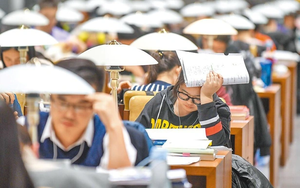 Trường hợp vi phạm nào bị đình chỉ thi công chức - Ảnh 3.