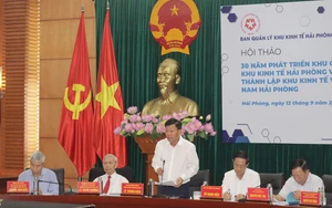 Nhiều hạng mục được nâng cấp khi đường bộ ven biển Hải Phòng thành đường cao tốc - Ảnh 7.