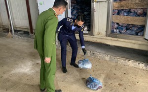 Tiêu huỷ hơn 400kg thịt bốc mùi hôi thối trong khu dân cư - Ảnh 6.
