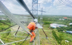 Lào Cai dốc toàn lực để hoàn thành đường dây 500 kV Lào Cai - Vĩnh Yên như cam kết với Thủ tướng Chính phủ - Ảnh 5.