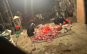 Lạng Sơn ngăn chặn 1,5 tấn chân gà đang trên đường đi tiêu thụ - Ảnh 7.