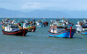 Thủ tướng yêu cầu tăng cường chống khai thác thủy sản bất hợp pháp IUU - Ảnh 1.