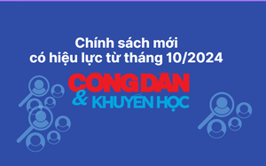 Chính sách mới có hiệu lực từ tháng 11/2024: Người dân được thực hiện giám sát hoạt động của cảnh sát giao thông thế nào? - Ảnh 3.