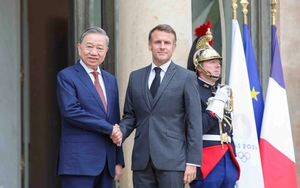 Việt Nam - EU n&acirc;ng cấp quan hệ l&ecirc;n Đối t&aacute;c Chiến lược To&agrave;n diện - Ảnh 4.