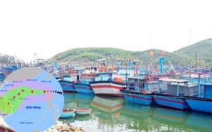 Bộ Giáo dục và Đào tạo có công điện về việc chủ động ứng phó với bão lich truyen hinh truc tiep bong da  - Ảnh 2.