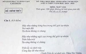 Đề Ngữ văn: Viết bài luận thuyết phục người khác từ bỏ thói quen miệt thị ngoại hình - Ảnh 5.