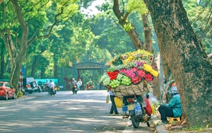 Đổi mới, sắp xếp tổ chức bộ máy: Tư tưởng phải thông, quyết tâm phải cao, hành động quyết liệt - Ảnh 5.