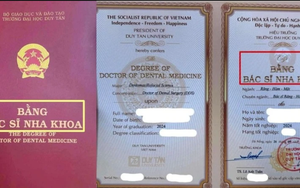 Cơ hội li&ecirc;n kết học tập v&agrave; thực tập quốc tế tại Đại học Duy T&acirc;n - Ảnh 9.