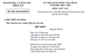 Đề thi, đáp án môn Toán kiểm tra học kỳ 1 lớp 9 của quận Ba Đình - Ảnh 6.