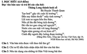 Đề Ngữ văn 9: Phân tích bài thơ "Đồng dao của đất" của Vi Thuỳ Linh - Ảnh 5.