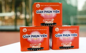 Thành phố Hà Nội sẽ mừng năm mới bằng màn pháo hoa rực rỡ  - Ảnh 2.