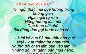 Đề kiểm tra Ngữ văn: so sánh hai đoạn thơ "Bếp quê" và "Mẹ" - Ảnh 7.