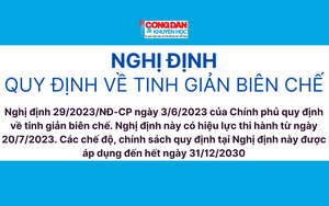 Một giám đốc sở ở Nghệ An viết đơn xin nghỉ hưu trước tuổi - Ảnh 5.