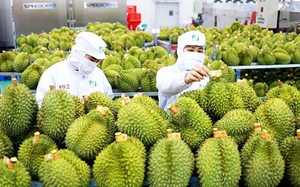 Diễn đ&agrave;n Kinh doanh v&agrave; Đầu tư EU - Việt Nam theo Chiến lược Cửa ng&otilde; To&agrave;n cầu - Ảnh 7.