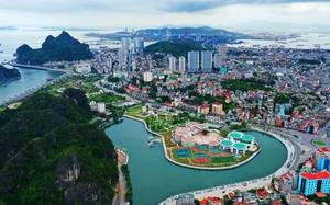 Ph&aacute;t triển n&ocirc;ng nghiệp h&agrave;ng h&oacute;a, dược liệu theo hướng xanh ở Lai Ch&acirc;u - Ảnh 2.