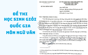 Đề thi thử tốt nghiệp môn Ngữ văn: Không được chấp nhận buông xuôi - Ảnh 4.