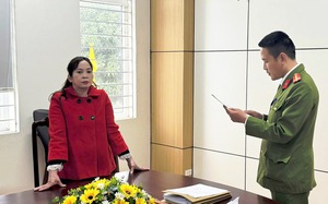 Khởi tố Tồng giám đốc Công ty trách nhiệm hữu hạn khoáng sản và luyện kim Việt - Trung và 7 bị can - Ảnh 8.