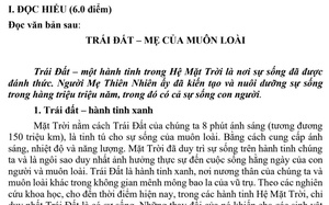 Đề tập huấn Ngữ văn 9: Người trẻ thích ứng với sự thay đổi - Ảnh 8.