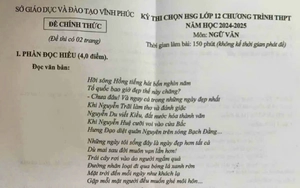 Đề thi học sinh giỏi Ngữ văn: Hành trình sáng tạo của người nghệ sĩ - Ảnh 2.