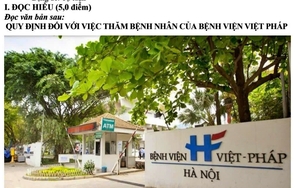 Đề Ngữ văn 9: Phân tích bài thơ "Đồng dao của đất" của Vi Thuỳ Linh - Ảnh 7.