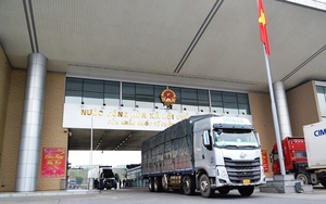 Ngày mùng 1 Tết: Gần 800 tấn trái cây xuất khẩu sang Trung Quốc qua Cửa khẩu Kim Thành - Lào Cai
