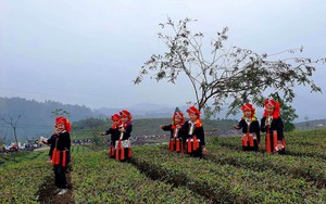 Thi cày ruộng đầu năm ở Quang Kim (Lào Cai) - Ảnh 19.