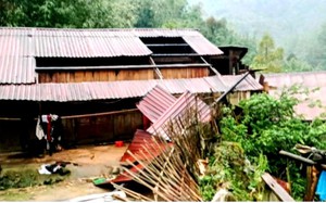 Lào Cai: Dông lốc mạnh làm bị thương 1 người, hư hại 48 nhà ở và trường học