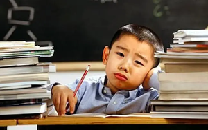 Trường học không bài tập về nhà: Xu hướng giáo dục mới? - Ảnh 2.
