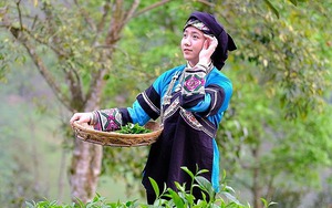 Video gọi tên "bác sĩ nội trú": màn định hướng nghề thành công cho giới trẻ - Ảnh 4.