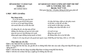 Bài thơ “Thời lá đỏ” vào đề khảo sát môn Ngữ văn tỉnh Quảng Ninh- Ảnh 3.
