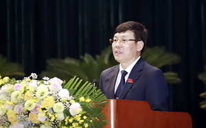 Bãi nhiệm chức vụ Chủ tịch, Phó Chủ tịch Ủy ban nhân dân tỉnh An Giang - Ảnh 3.