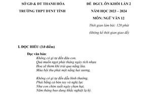 Đề đánh giá chất lượng Ngữ văn: Ý nghĩa của việc tự mình vươn lên trong cuộc sống