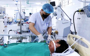 Sóc Trăng xác minh thông tin C.P. Việt Nam bán thịt lợn, gà bệnh - Ảnh 3.