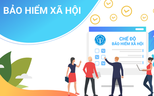 Kinh tế hồi phục, lượng người tham gia bảo hiểm xã hội tăng trở lại