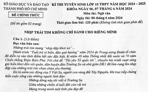 Đề khảo sát Ngữ văn: Những điều bé nhỏ cũng có thể đem lại niềm vui trong cuộc sống- Ảnh 3.