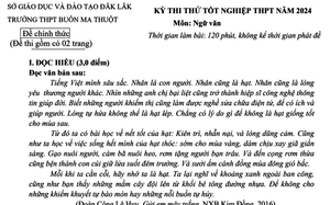 Đề lich truyen hinh truc tiep bong da thử Ngữ văn: Để không cho những khiếm khuyết tự bào mòn, hay những nỗi buồn tự huỷ