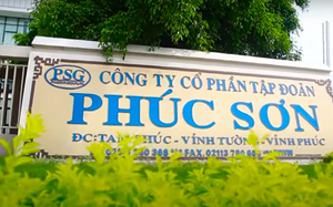 Vụ án tại Công ty Cổ phần Tập đoàn Phúc Sơn: Đã xác định 26 bị can, điều tra 5 tội danh - Ảnh 2.