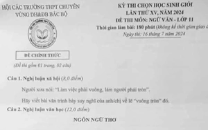 Bài thơ "Tiếng đàn bầu" vào đề thi học sinh giỏi Ngữ văn - Ảnh 6.