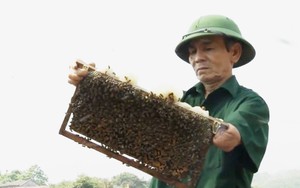 Tổng Bí thư Tô Lâm: "Người có công với cách mạng là tài sản quý báu của dân tộc" - Ảnh 7.
